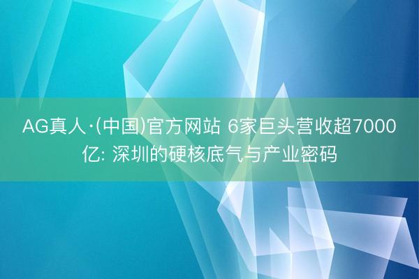 AG真人·(中国)官方网站 6家巨头营收超7000亿: 深圳的硬核底气与产业密码