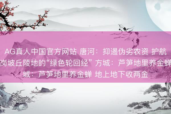 AG真人中国官方网站 唐河：抑遏伪劣农资 护航万家农事 淅川：岗坡丘陵地的“绿色轮回经” 方城：芦笋地里养金蝉 地上地下收两金