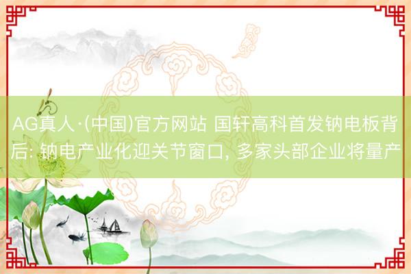 AG真人·(中国)官方网站 国轩高科首发钠电板背后: 钠电产业化迎关节窗口， 多家头部企业将量产