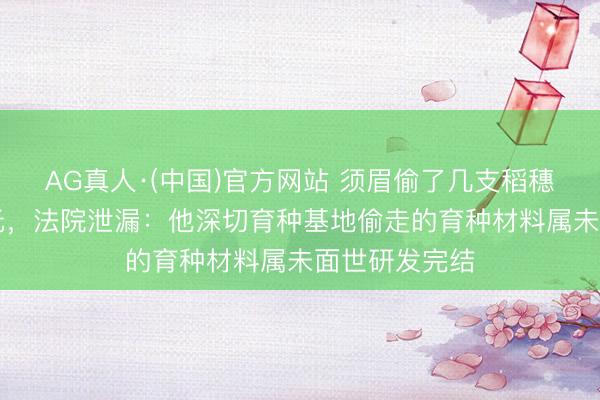 AG真人·(中国)官方网站 须眉偷了几支稻穗被判赔15万元，法院泄漏：他深切育种基地偷走的育种材料属未面世研发完结