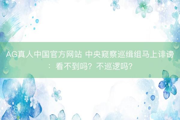AG真人中国官方网站 中央窥察巡缉组马上诽谤:看不到吗?不巡逻吗?