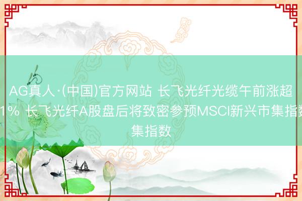 AG真人·(中国)官方网站 长飞光纤光缆午前涨超11% 长飞光纤A股盘后将致密参预MSCI新兴市集指数