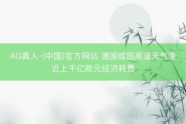 AG真人·(中国)官方网站 德国或因高温天气靠近上千亿欧元经济耗费