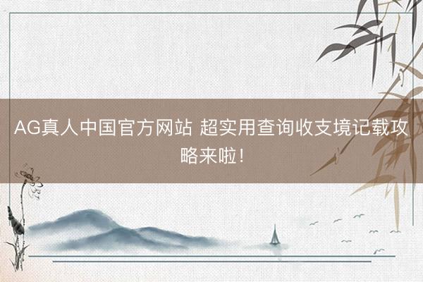 AG真人中国官方网站 超实用查询收支境记载攻略来啦！