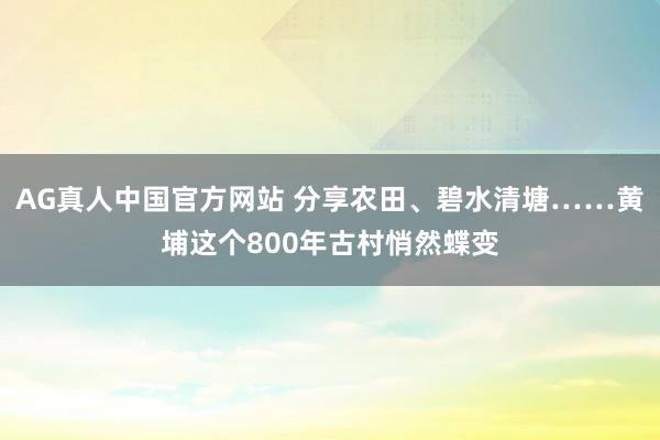 AG真人中国官方网站 分享农田、碧水清塘……黄埔这个800年古村悄然蝶变